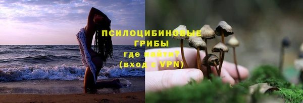 прущая мука Гусев