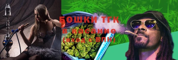 винт Гусиноозёрск